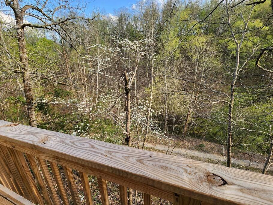 Dancing Bear Cabin- Relax & Enjoy! Sevierville Εξωτερικό φωτογραφία